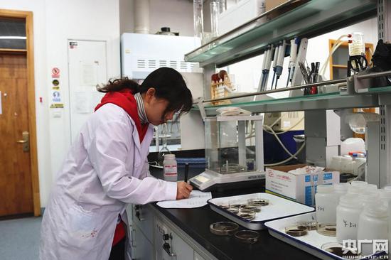 刘佳丽正在实验室做实验(央广网记者 刘昱 摄)
