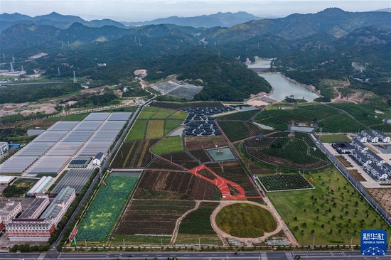 这是在浙江省东阳市花园村拍摄的现代农业生态园（2021年7月7日摄，无人机照片）。新华社记者 徐昱 摄