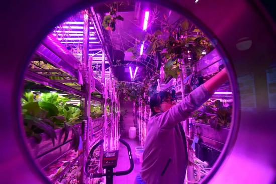 “月宫一号”总设计师、首席科学家刘红教授为观众讲解。