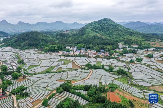 这是广西桂林市全州县才湾镇毛竹山村(无人机照片,2021年4月25日摄)。新华社记者 曹祎铭 摄