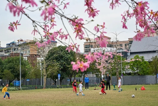 11月30日,广州市海珠区艺洲路,小朋友在草地上踢足球。