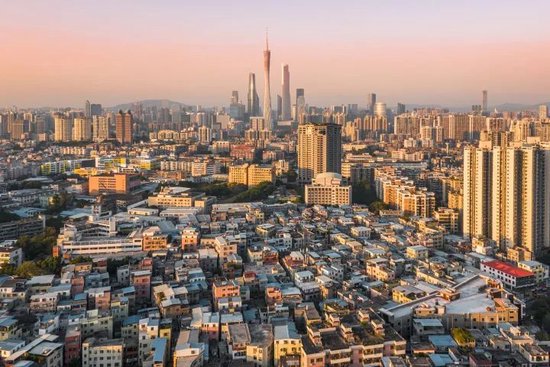 杨树蘑菇能吃吗