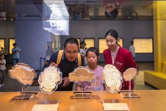 8月4日,河南省安陽市殷墟博物館展出的「子何人哉——殷墟花園莊東地甲骨特展」,遊客紛至遝來。王建安攝(中經視覺)