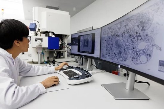 科研工作者在懷柔科學城工作 圖源：新華社