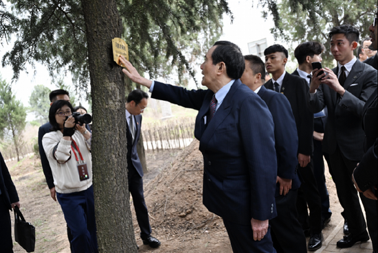 馬英九在馬援墓旁撫摸其父馬鶴淩親植的樹木。