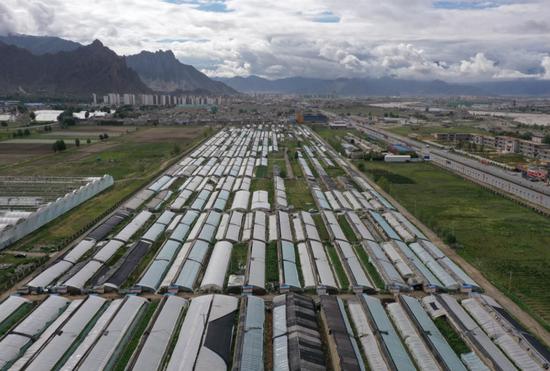 拉萨堆龙德庆县羊达乡无公害蔬菜基地项目,是整合北京市援藏资源、资金执行的一项促进农牧民增收、农牧业增效,辐射发动力强的民生项目。和冠欣 摄