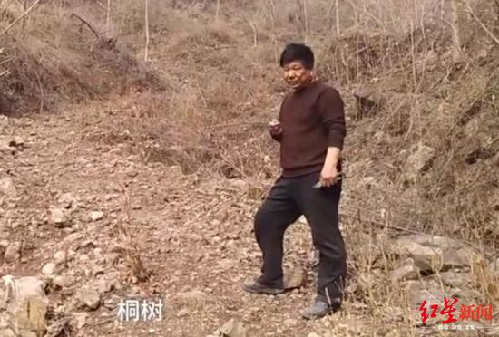 20年种树20万棵 植树狂人：放弃会浪费掉所有付出