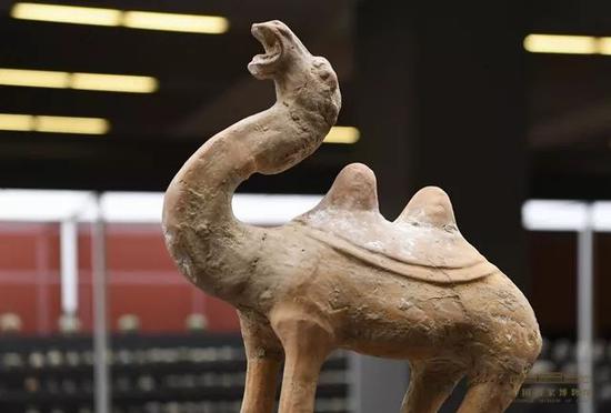 ����Ӱ����ڳ�