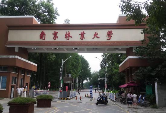 南京林业大学,蒋华松在这里工作了三十余年。新京报记者王双兴摄