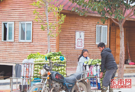 2016年底，晋江新塘街道杏坂社区为村里的30多户外地菜农建起了小木屋，有客厅、卧室、卫生间和厨房。　福建日报记者　王毅　摄