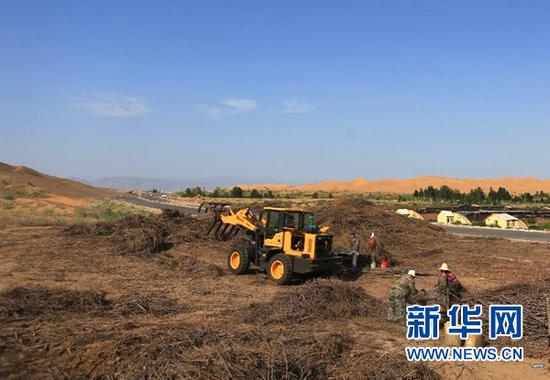 在内蒙古鄂尔多斯市杭锦旗,工人为新修的穿沙公路制作沙障(7月26日摄)。新华社记者 卢烨 摄