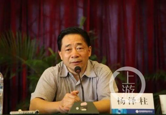 ▲长江证券股份有限公司原董事长杨泽柱(资料图)。