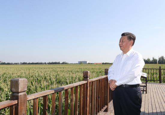 7月22日至24日,中共中心总书记、国度主席、中心军委主席习近平在吉林省观察。这是7月22日下昼,习近平观察四平市梨树县国度百万亩绿色食物质料(玉米)尺度化出产基地焦点树模区地块。