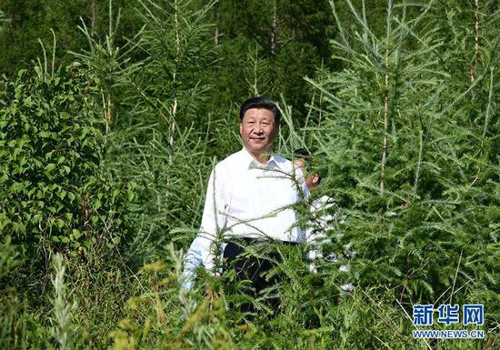 2019年7月15日,中共中央总书记、国家主席、中央军委主席习近平赴内蒙古自治区考察调研。这是习近平在赤峰市喀喇沁旗马鞍山林场了解生态文明建设情况。新华社记者 谢环驰 摄