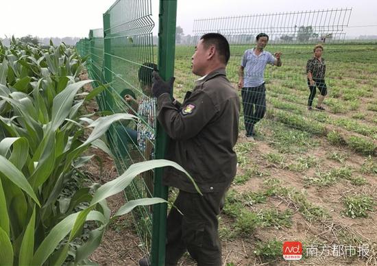 2018年7月11日，涉事的250亩土地被第三方公司安装围栏。