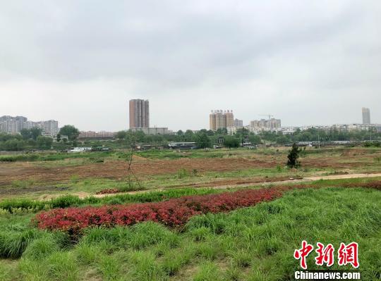 ͼΪ��������У�Ѳ�����Ӱ������Ө����