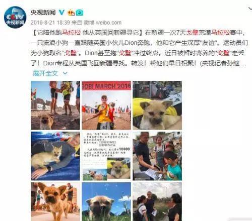 一场发生在中国的“碰瓷”事故 为何感动了世界？