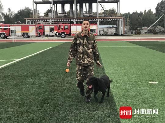 这只搜救犬走了 报到次日在玉树地震中救出第一人