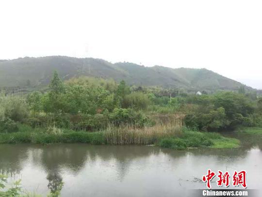 ���Ĺ���ڵ� �����������ṩ ��