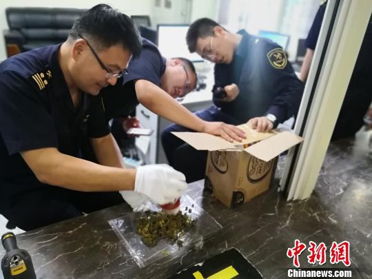 图为海关查获的保健品夹藏大麻现场。海关供图