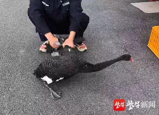 蓝盾软件_一名加拿大人涉重案在澳门被捕 欲诈骗约2.4亿欧