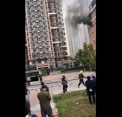 金沙国际城手机版下载|2019305期玫瑰福彩3D推荐:本期双胆参考0、6,和值看好15