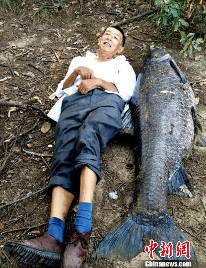 男子钓到102斤重青鱼 长1.6米接近成年人身高(图)