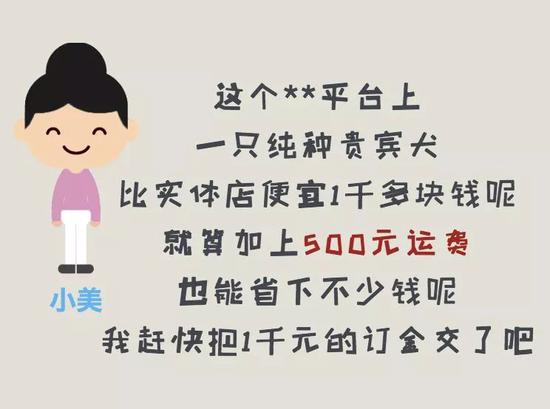 3-15晚会消费预警：网购宠物猫腻多