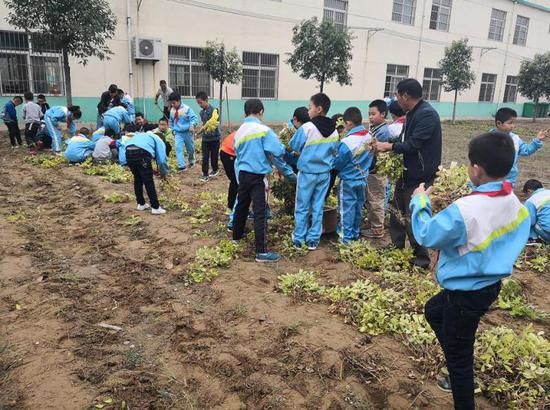 必赢网安全吗·每日一脸|16岁少年,爱拍照,很红