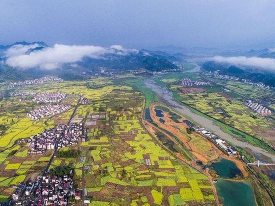 2018年4月3日,杭州市淳安县千岛湖汾口镇的景观池塘、怒放的郁金香与周边数千亩油菜花相映成趣,构成美丽的春季乡村图景。新华社记者 徐昱 摄