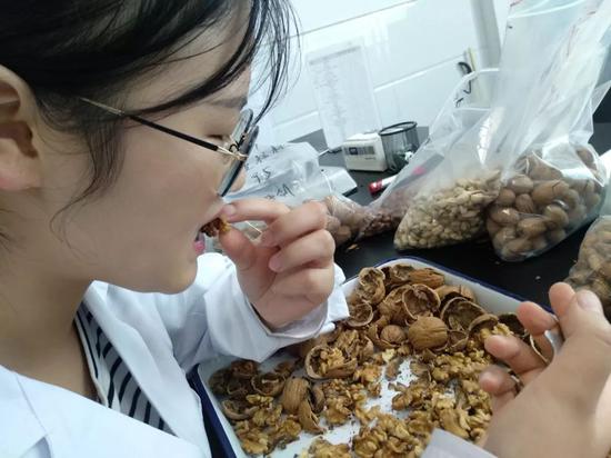 燕子正在实验室里试吃有哈喇子味的手剥核桃。新京报记者吴靖 摄