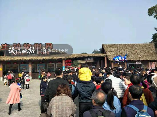 图:早上10点多,游客们陆续排队入园 顾先生提供