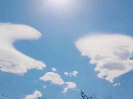 影友:回眸一笑 摄