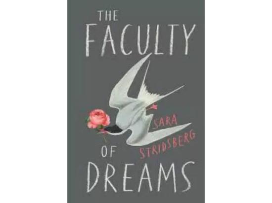 The Faculty Of Dreams