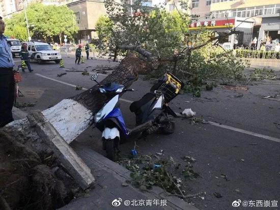 飞机大风中降落,乘客连连惊叫