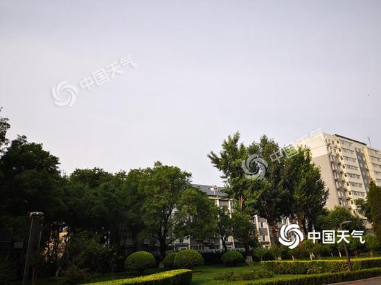 今晨,北京体感气温稍显闷热。(图/王雯雯)