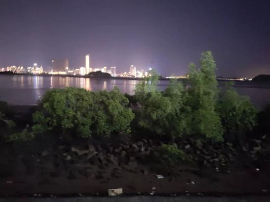 4月5日晚,邱贝贝从厦门市海沧湾附近跳海自杀。新京报记者薛星星 摄