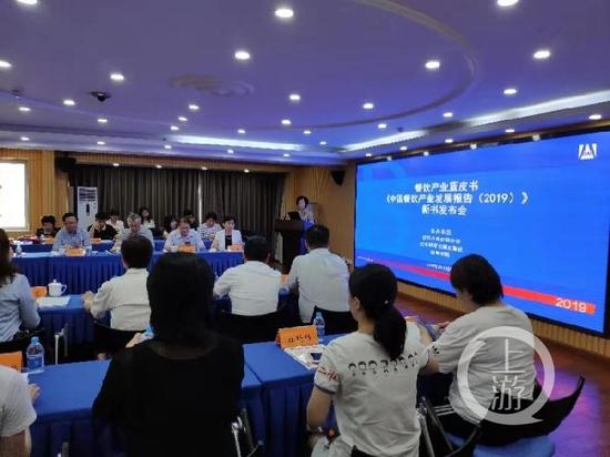 ▲新闻发布会现场。摄影/上游新闻见习记者 李洪鹏