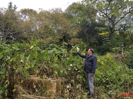 「易胜娱乐场安卓版」银屑病已列入重大慢性病 专家:规范治疗帮助控制病情