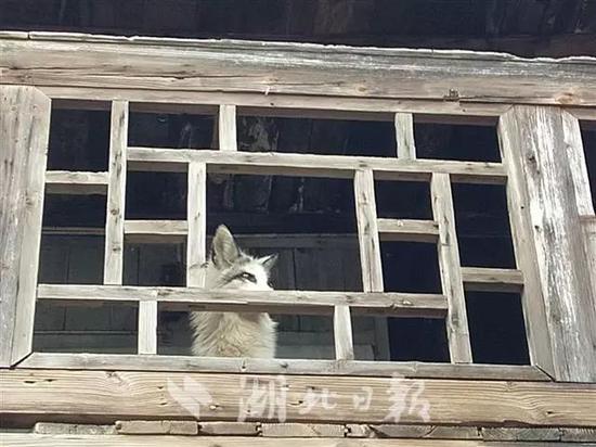 最新赌博送体验金可提现 如今在《魔兽争霸》里,你充钱就可以变得更强