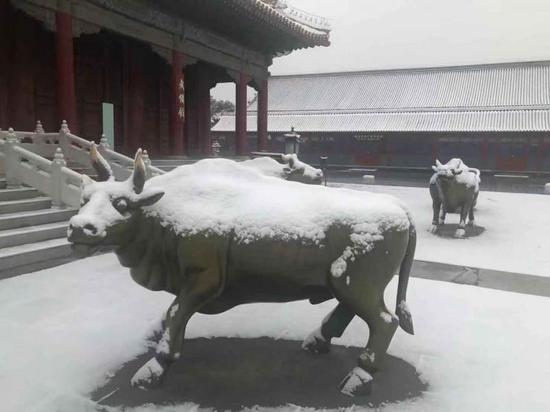 海洋之神登录和注册 - 成都产“不知火”首次登陆北美市场