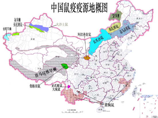 鼠疫是什么?严重吗?莫怕!权威解读来了