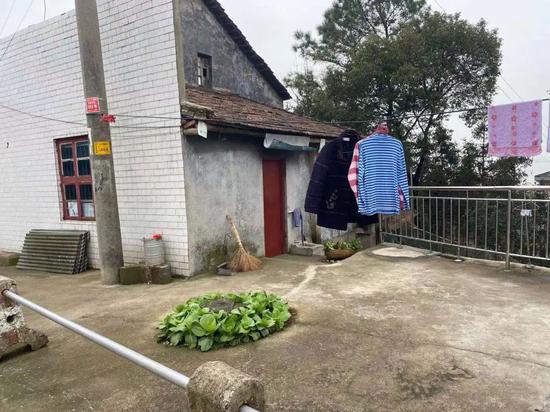 渔民龙新国和老伴在屋门口种了一小块菜地,稀稀落落地长着白菜和蒜苗。新京报记者 肖薇薇 摄