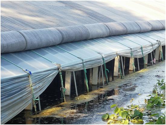 山东寿光洪灾后续补偿事宜咋安排?市委宣传部