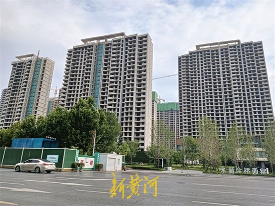 西棠项目现状