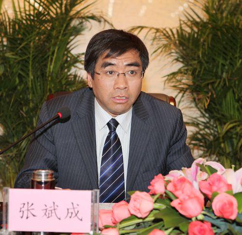 张斌成