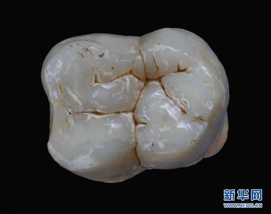 那个平台有彩金送 - 京东集团宣布“进博会”,采购近千亿元进口品牌商品