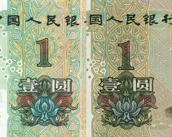 申博注册中心 - 漳州动物园狮子断尾无人管 园区回应:系手术后未及时包扎