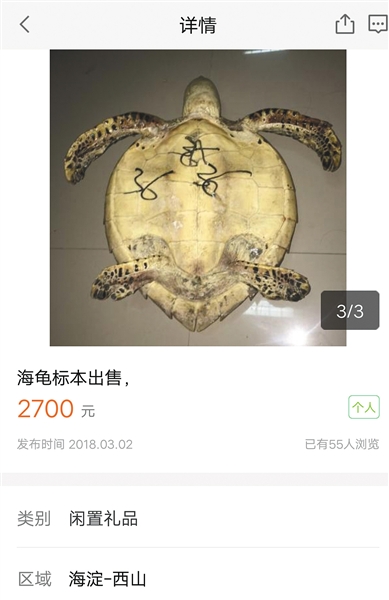 58同城销售的国家二级保护动物海龟标本，售价2700元。