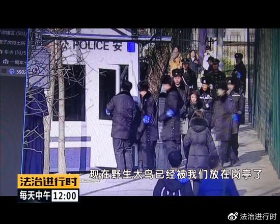北京街头突现"仙鹤":司机纷纷避让 已获民警救助